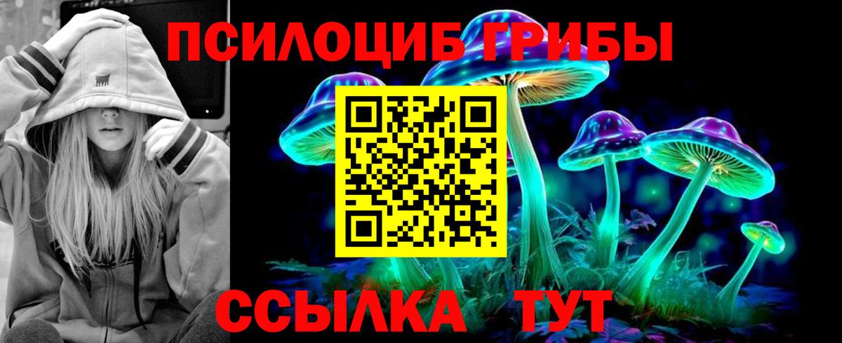 Тамбов  Галлюциногенные грибы ЛСД  Галлюциногенные грибы мухоморы  Вход с VPN 